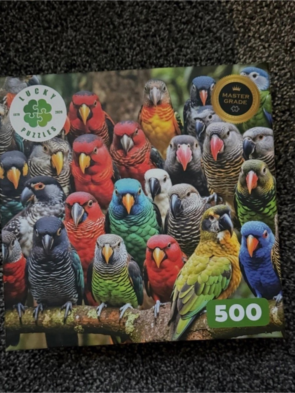 Lucky Puzzles Feathered Friends Fiesta 500-Piece Puzzle